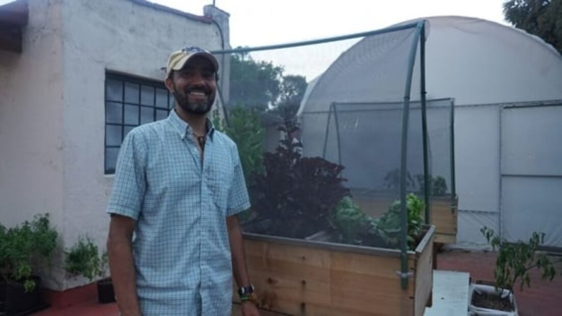 Conoce cómo crear huertos urbanos