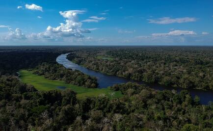 Escritor hace denuncia ecológica y defiende la cultura del Amazonas