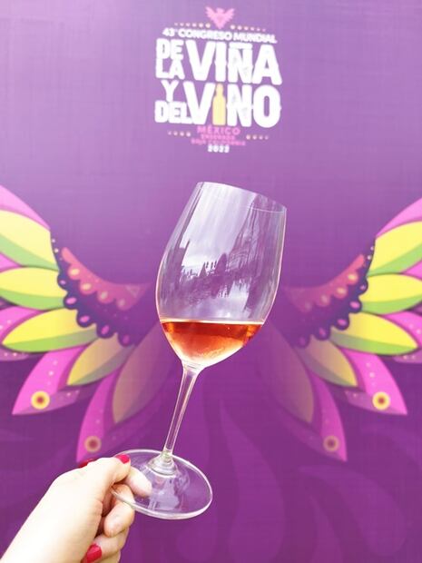 Momentos clave del Congreso Mundial de la Viña y el Vino OIV