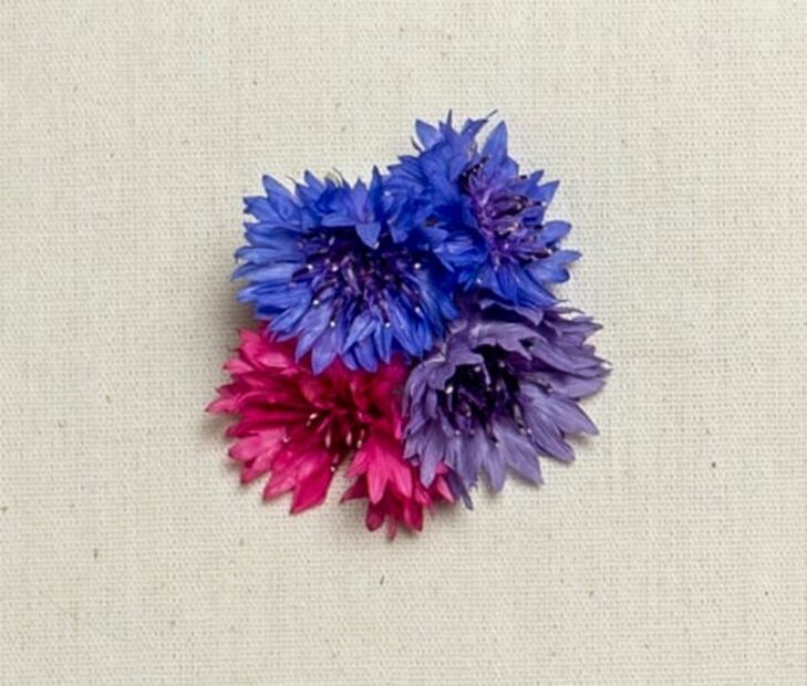 A esto saben las flores y los brotes cuando cocinas con ellos
