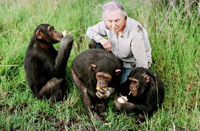Un paro cardiaco, la causa de fallecimiento de Jane Goodall