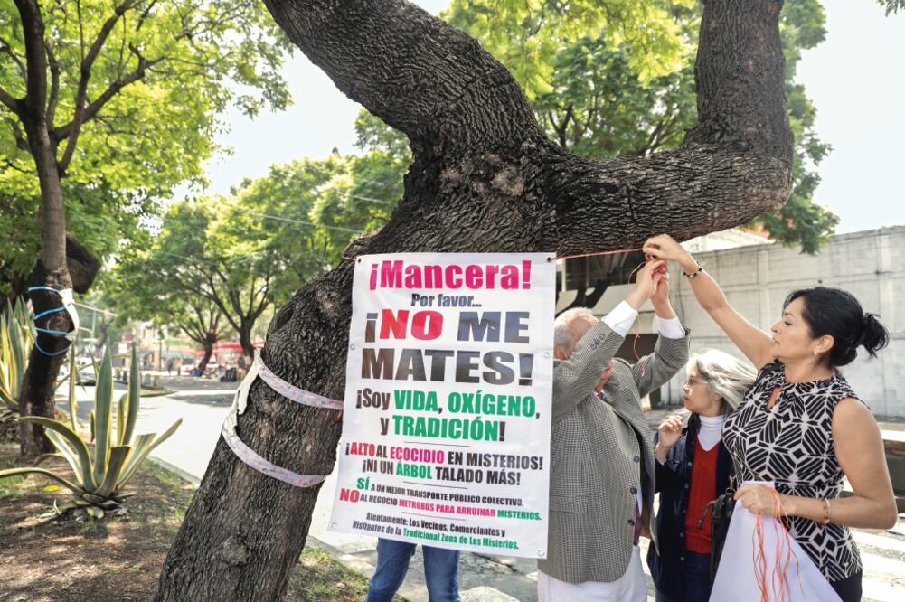 Los habitantes de las colonias por donde correrá el Metrobus en Reforma exigen que no se talen los árboles que hay en la zona sólo para realizar la obra. (IVÁN STEPHENS. EL UNIVERSAL)