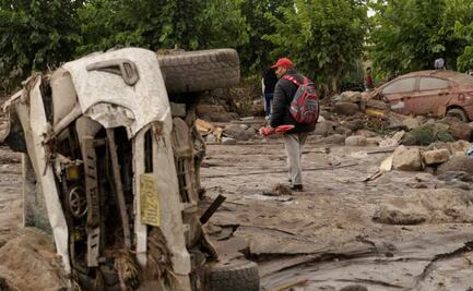 Lomito, el único sobreviviente de accidente aéreo que dejó 15 muertos en Perú; víctimas eran militares y sus familias