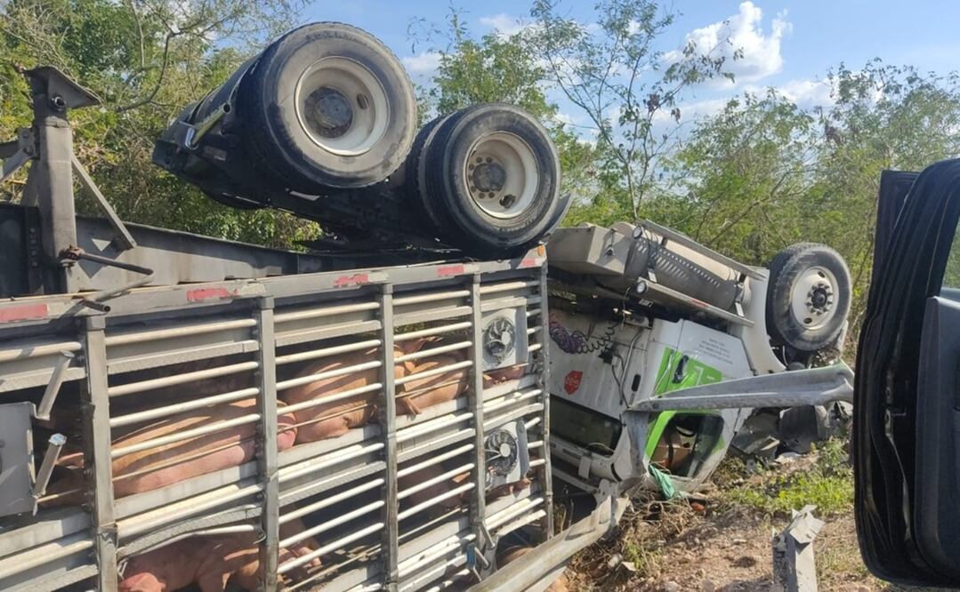 Foto: Especial/ Así quedó el tráiler tras volcarse sobre la carretera Chetumal-Mérida