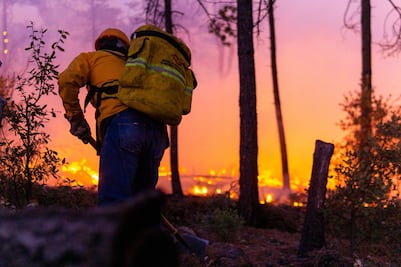 Incendios forestales azotan Chihuahua; ya suman 23 siniestros en ocho municipios