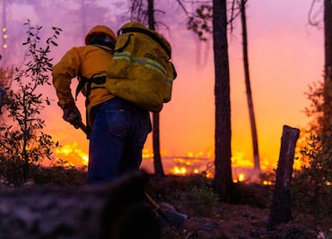 Incendios forestales azotan Chihuahua; ya suman 23 siniestros en ocho municipios