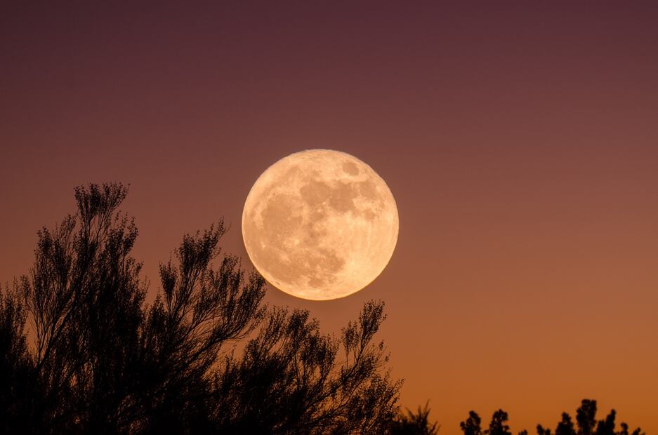 Podrás apreciar la luna de fresa luego de la puesta de sol. Foto: Unsplash