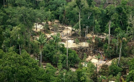 Antes de la llegada de los europeos, el cambio climático "pegó" en el Amazonas