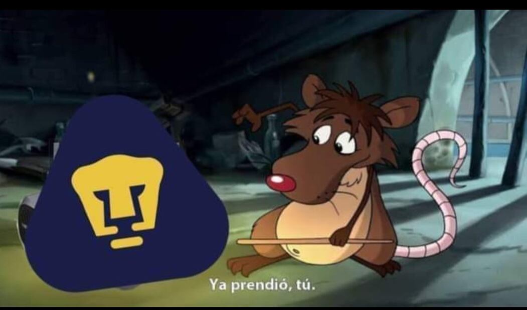 Memes Pumas