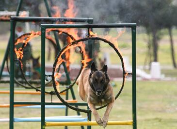Semar desmiente base naval en Milpa Alta