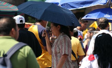 Los casos de gastroenteritis aumentan en temporadas calurosas 