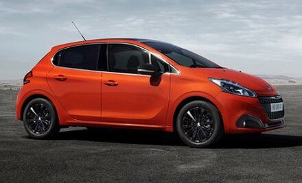 Felino de corazón ecológico 