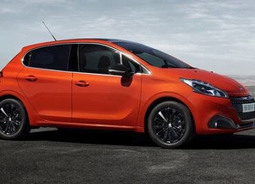 Felino de corazón ecológico