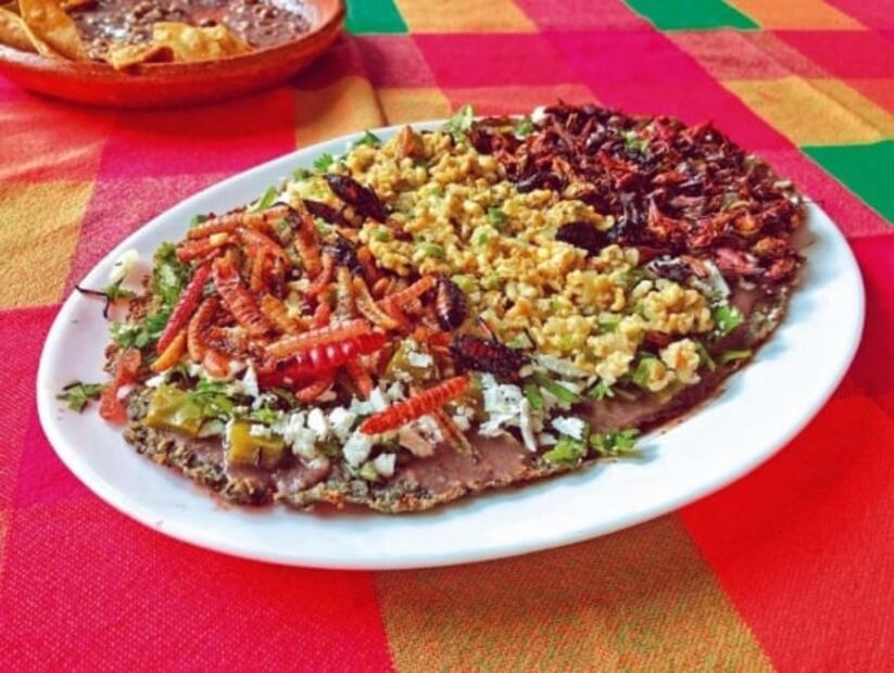 ¿Qué son las tlayudas y de qué están hechas?