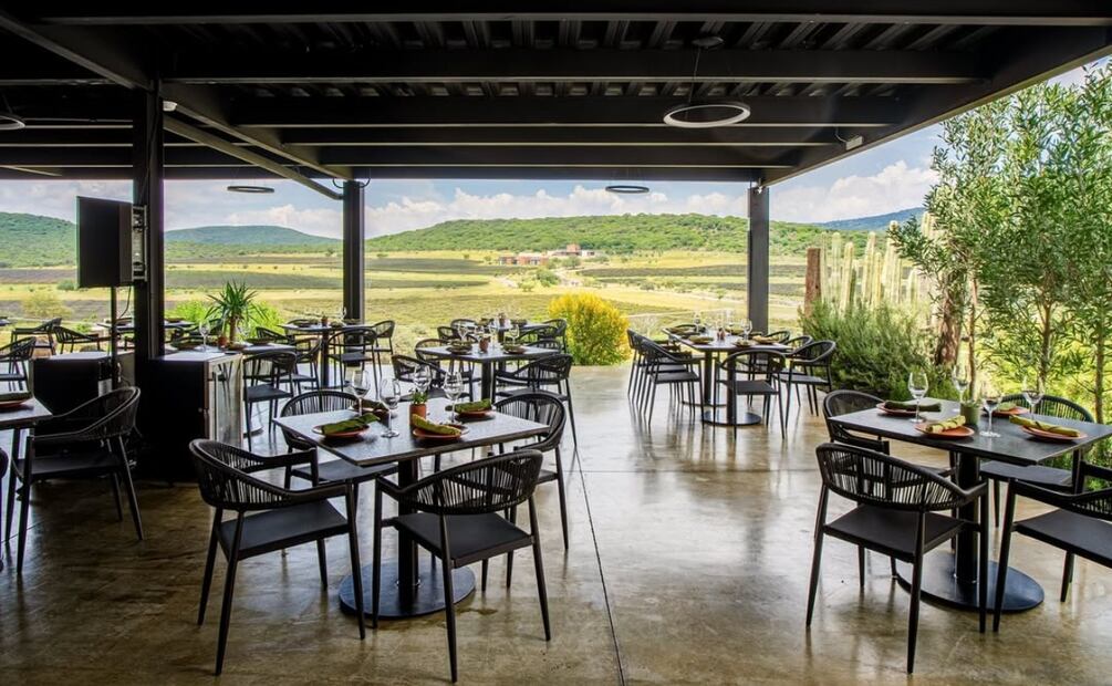 Vertical Evolutivo, un nuevo restaurante en Querétaro. Foto: cortesía