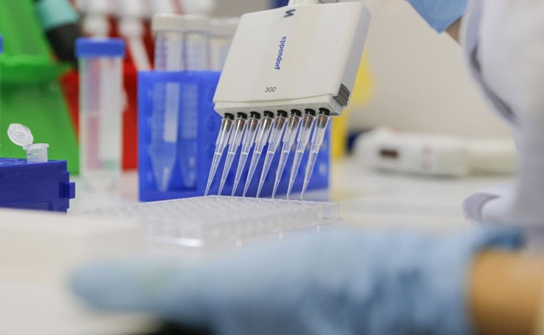 The vaccine candidate has shown promising results - Photo: File photo/EFE/EPA