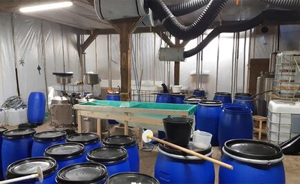 Árbol derrumbado descubre laboratorio de cocaína en Holanda 