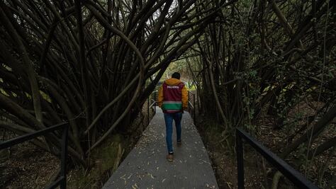 ¿Qué es el circuito Serpientes y escaleras en Chapultepec?