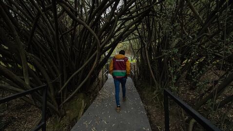 ¿Qué es el circuito Serpientes y escaleras en Chapultepec?