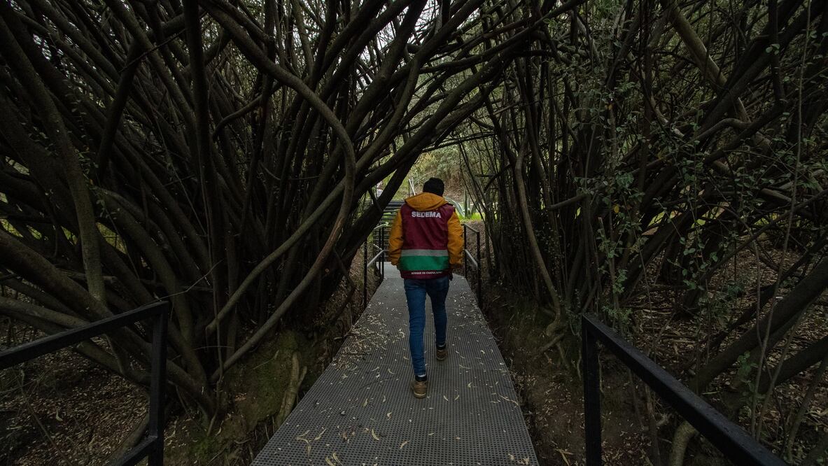 Aventúrate a vivir una experiencia divertida en el circuito Serpientes y Escaleras. Foto: X @ChapultepecCDMX