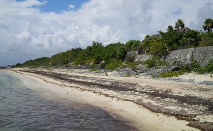 Inician revisión jurídica de construcción de hotel en zona turística de Cancún