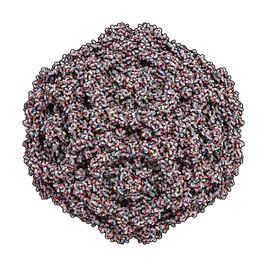 Construyen partículas virales para mejorar terapias