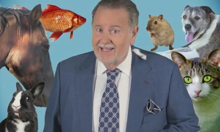 Raúl de Molina hace un llamado para proteger a los animales