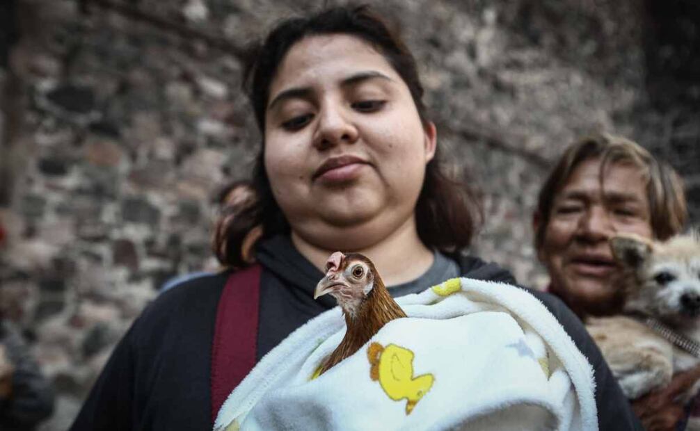 Bendición de animales por el día de San Antonio Abad en la parroquia de Santiago Apóstol en la plaza de las 3 culturas. Foto: Gabriel Pano/EL UNIVERSAL