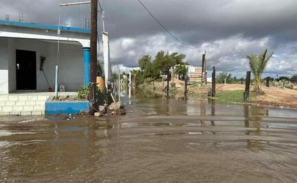 “Norma” provoca inundaciones, cierre de aeropuerto, caída de árboles y postes en Sonora y Sinaloa