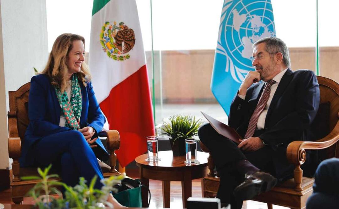 Juan Ramón de la Fuente, titular de la Secretaría de Relaciones Exteriores (SRE). Foto: Especial.