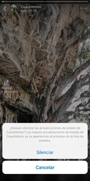 3 trucos que puedes aplicar en los estados de WhatsApp