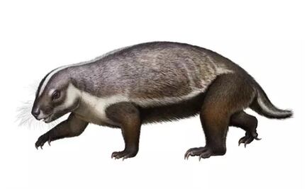 Conoce a la "bestia loca" que vivió entre dinosaurios