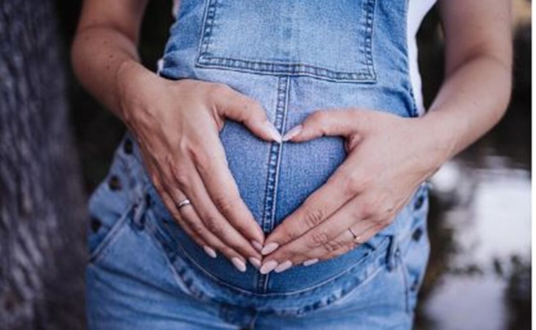 Embarazo y lactancia. Foto: Pixabay