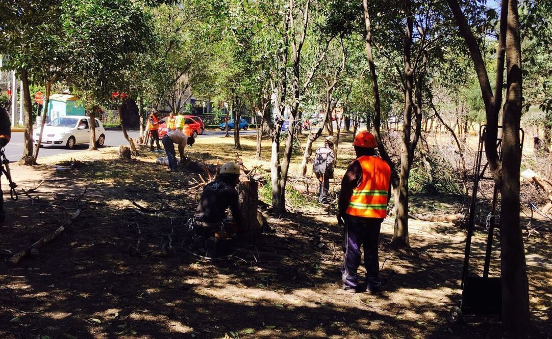 Foto: Juan Manuel Barrera / El Universal