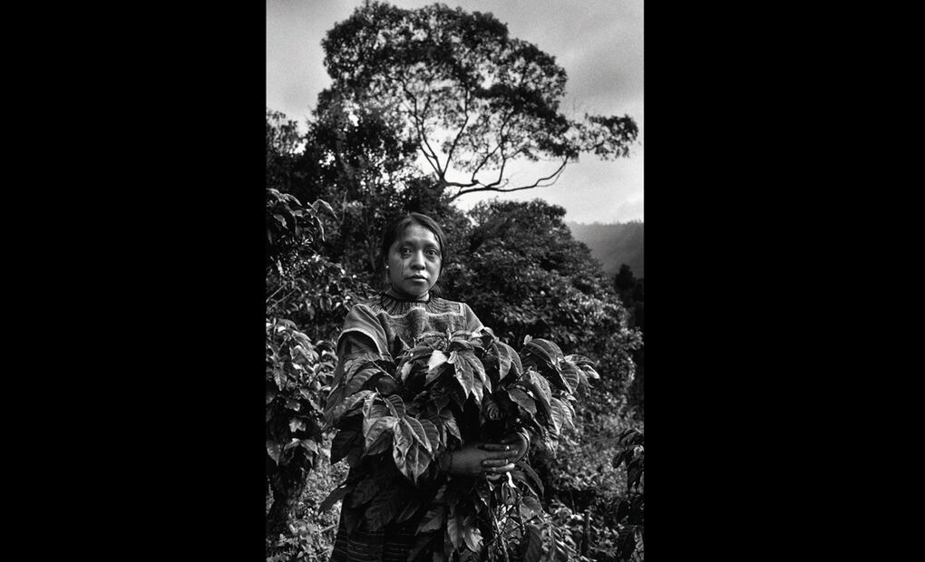 Fotografía tomada en Guatemala por el fotógrafo brasileño Sebastião Salgado, que hoy ha presentado en el Postfuhramt (antigua central de correos reconvertida en galería) de Berlín su exposición 'In principio', en la que se exponen imágenes de cinco países cafeteros, 05/09/2008. Foto: EFE / Sebastião Salgado
