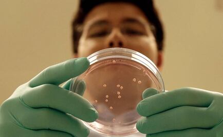 Desarrollan impresora 3D capaz de fabricar tejido para humanos