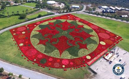 Teotihuacán rompe Récord Guinness con Tapete Floral más grande del mundo