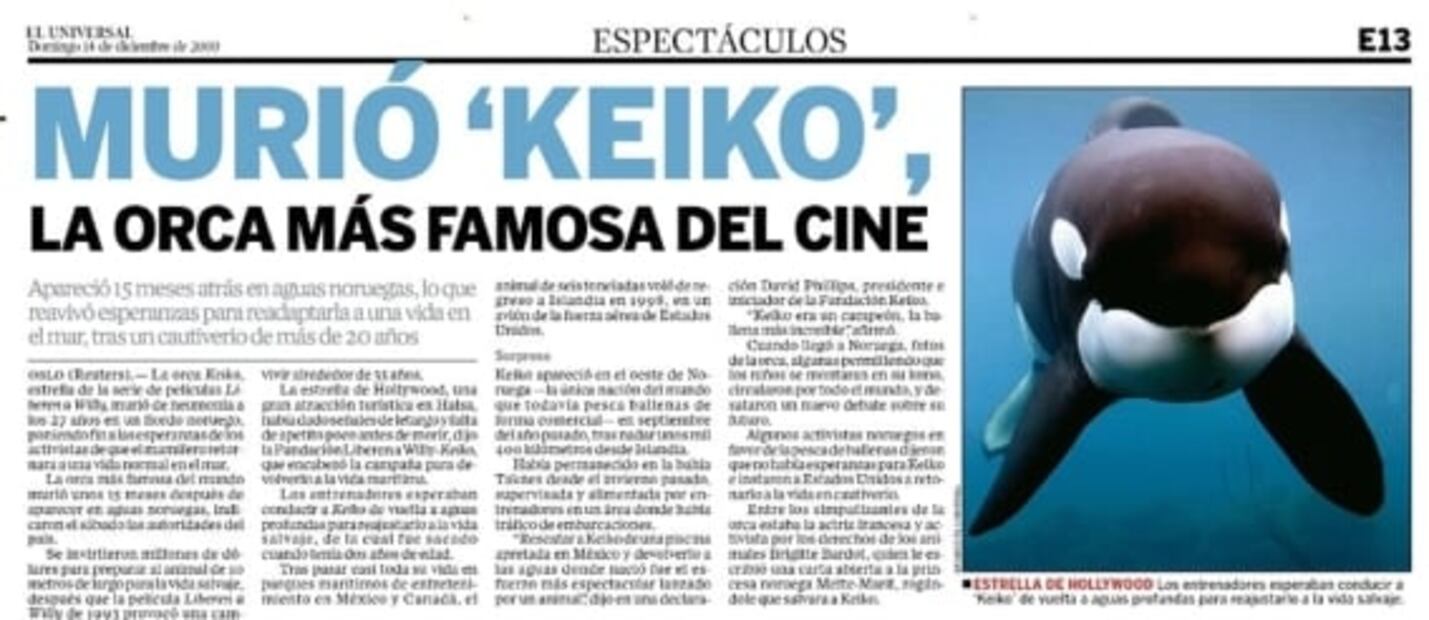 Keiko, la desafortunada historia de la única ballena amaestrada en México