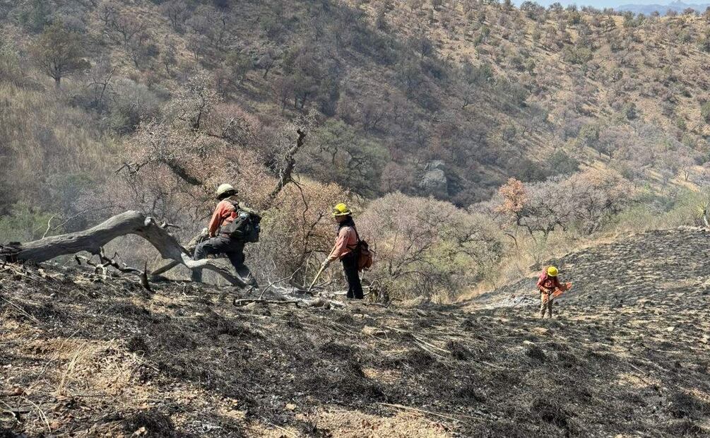 El incendio forestal en la Sierra Los Ajos, Sonora devastó más de 10 mil hectáreas (04/07/2025). Foto: Protección Civil Sonora
