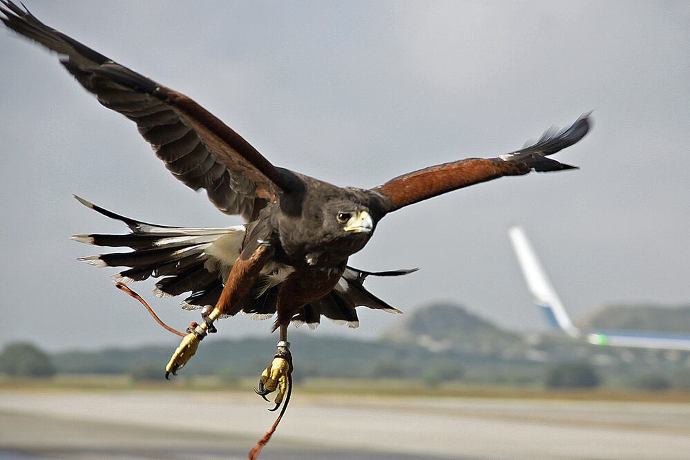 ARCHIVO / EL UNIVERSAL