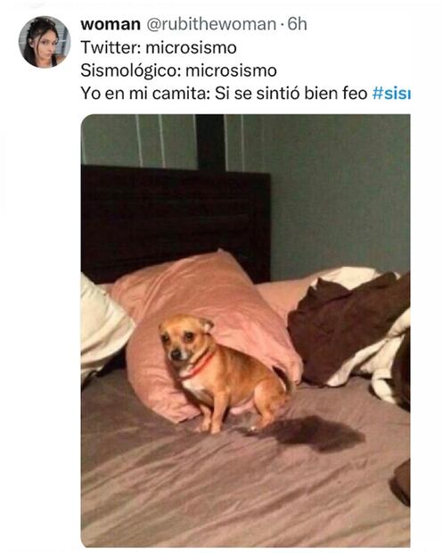 Memes de la última semana de septiembre.
Imagen: X