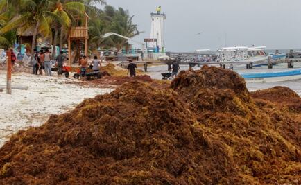 Activistas piden a candidatos a diputados de Q.Roo renunciar a partidas de ayudas