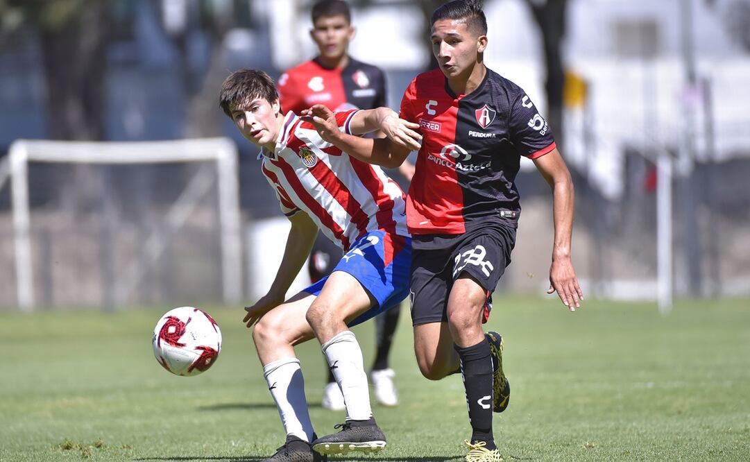 Fuerzas básicas, inversión millonaria