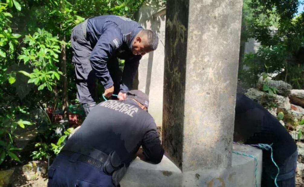 Rescatan a perrita que cayó a un pozo de 18 metros en Yucatán (20/07/2025). Foto: Especial