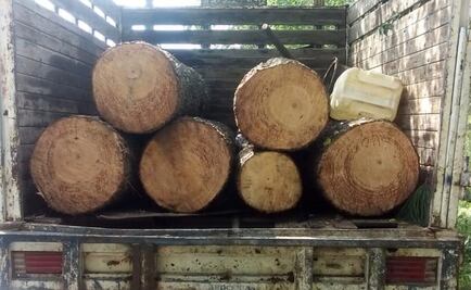 FGR detiene a 9 hombres en Milpa Alta por delitos ambientales