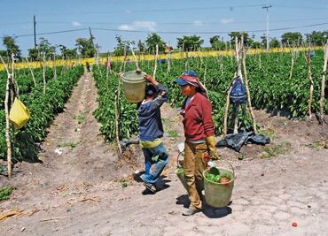Piden asegurar a adolescentes trabajadores