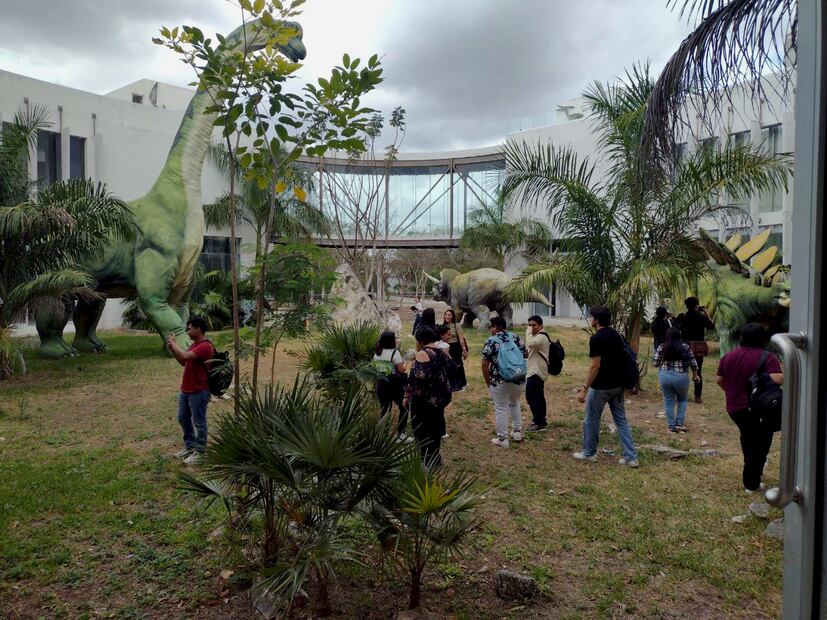Chicxulub. Foto: Facebook "Museo de Ciencias del Cráter Chicxulub"