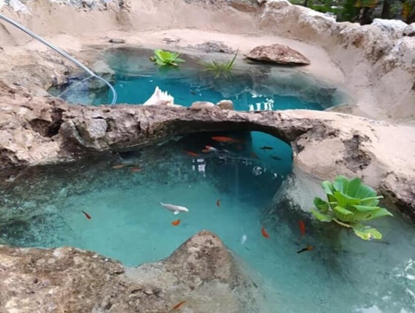 Viral: familia yucateca crea minicenote en el patio de su casa