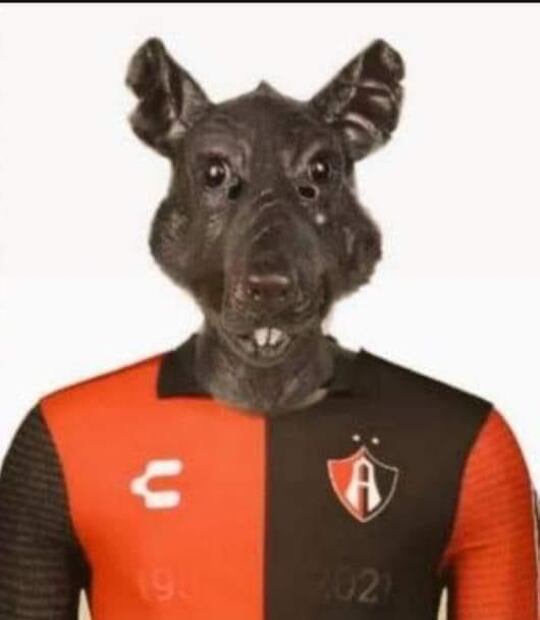 Los mejores memes del bicampeonato de Atlas