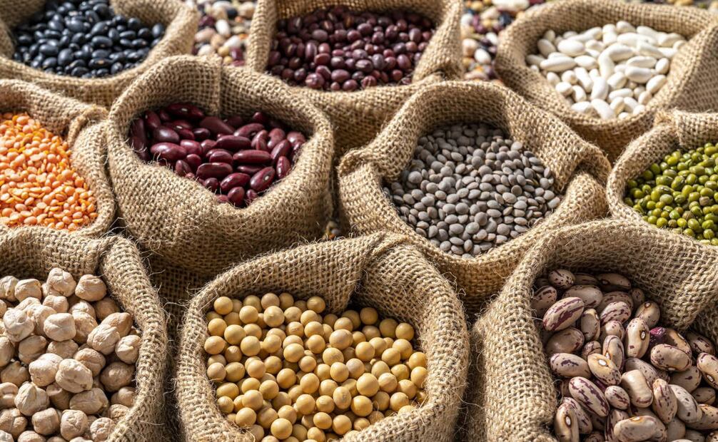 Estos son los beneficios del frijol. Foto: Archivo / EL UNIVERSAL